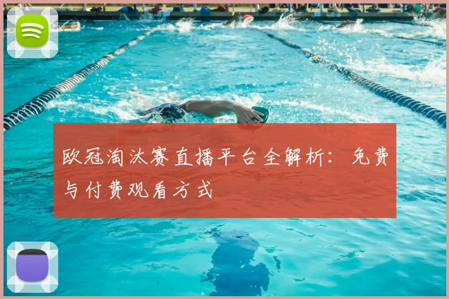 欧冠淘汰赛直播平台全解析：免费与付费观看方式