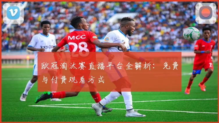 欧冠淘汰赛直播平台全解析：免费与付费观看方式