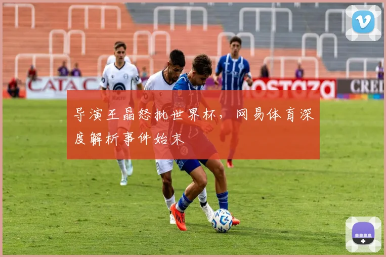 导演王晶怒批世界杯，网易体育深度解析事件始末